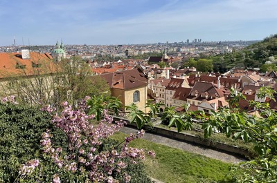 Provozní doba v květnu